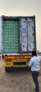 Exim Federation consignment of Banana