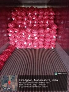 Exim Federation consignment of onion