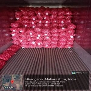 Exim Federation Exports consignments 7